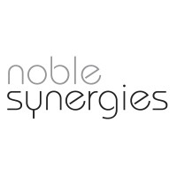 NOBLE SYNERGIES LIMITED logo - Similar company to Refmacs
