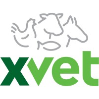 XVET Germany logo - Similar company to Galvmed