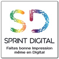 SPRINT DIGITAL logo - Similar company to Data Tech Dealers