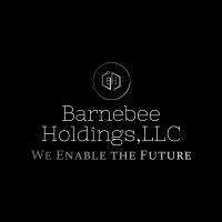 Barnebeeholdings, Llc
