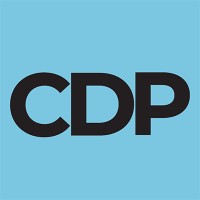 Community Development Professionals, LLC logo - Similar company to Pathways To Growth