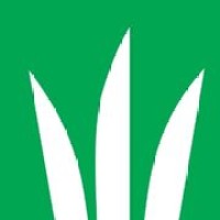 DLF - BV logo - Similar company to Ringel-Protect®