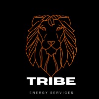 Tribe Energy Services Ltd logo - Similar company to Teq Group