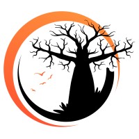Baobab Games logo - Similar company to Queensguard