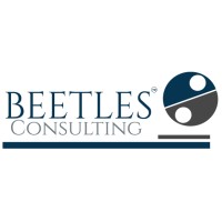 Beetles Consulting logo - Similar company to Bright Beetle Consulting