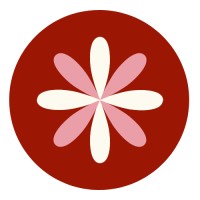 SOLO_ estratégia digital transformadora logo - Similar company to Gerar - Extensão