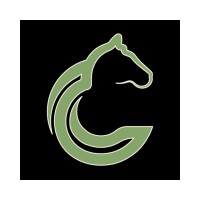 Chess Arena logo - Similar company to Sos | Built Different