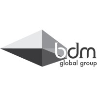 BDM Global Group logo - Similar company to Bdm Group Solution