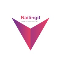 Nailingit logo - Similar company to Drive Consulting