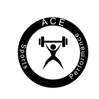 ACE Sports Performance logo - Similar company to Ace Performance