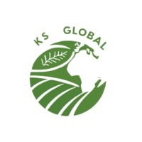 K.S. Global logo - Similar company to Idcandy Design