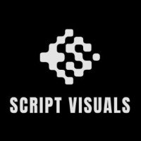 Script Visuals logo - Similar company to Exquisite Luxe Properties
