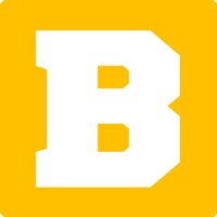 Bulls Orbit logo - Similar company to Ingenious.Pk