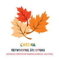 CHEEMA NETWORKING SOLUTIONS logo - Similar company to Techieformation