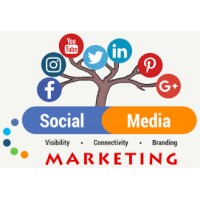 Social Media Marketing & Advertisements