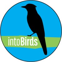 Intobirds (Birding Unlimited Llc)