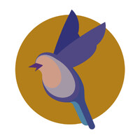 Rare Bird Foundation logo - Similar company to Mef2C Foundation