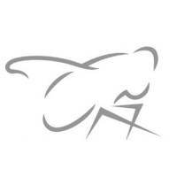 FlyPatt Stage Automation Inc logo - Similar company to Acti Group - Acti Solutions