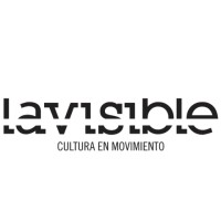 Lavisible logo - Similar company to Dr. Rocha