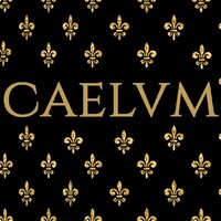 C A E L V M