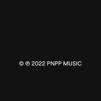 PNPP MUSIC logo - Similar company to Tamisée