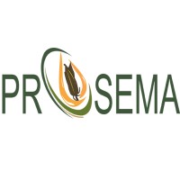 Prosema-SA logo - Similar company to Prosemar