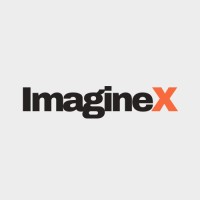 ImagineX Tanzania logo - Similar company to The Imaginex Project