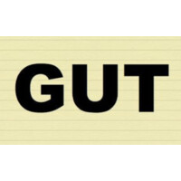 GUT logo - Similar company to Gastroenterologia E Endoscopia Digestiva