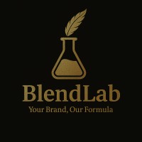 BlendLab Agency logo - Similar company to Blink Studios