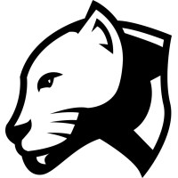 Panthera Digital logo - Similar company to Obicis