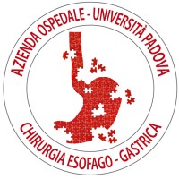 Chirurgia Esofago e Stomaco di Padova logo - Similar company to Isde World Congress 2024