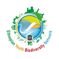 Ethiopian Youth Biodiversity Network logo - Similar company to Liluyan