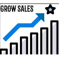 GrowSales logo - Similar company to Statsoft South America