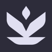 Fulgor Brand Studio