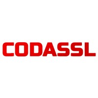 CODASSL logo - Similar company to Dataplusvalue Web Services