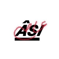 ÂSI Foundation logo - Similar company to Ulster Boces