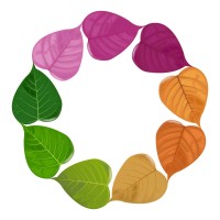 Collectors Abode logo - Similar company to Centava