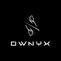 OWNYX logo - Similar company to Geeksys