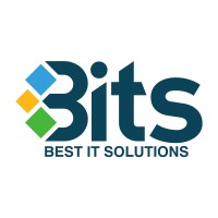 BITS Global logo - Similar company to Bits Global Consulting