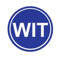 Wit Strategy