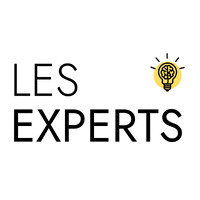Les Experts logo - Similar company to Intelsoft