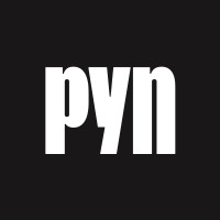Pyn logo - Similar company to Leoserv