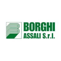 BORGHI ASSALI S.R.L. logo - Similar company to Assali Tecma