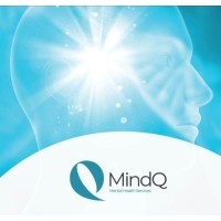 MindQ MHS logo - Similar company to Hummi