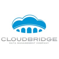 Cloudbridge Solutions logo - Similar company to Cloud Bridge Solutions Inc