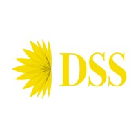 DSS Holding Company logo - Similar company to Bluem.Brasil