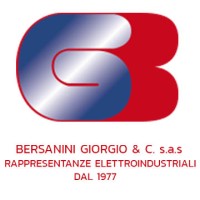 BERSANINI GIORGIO & C. Sas logo - Similar company to Evotech Snc