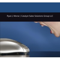 Catalyst Sales Solutions Group LLC logo - Similar company to Mmdevsolutions