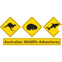 Australian Wildlife Adventures