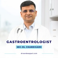 Dr. Sandeep Pal - Gastroenterologist in Chandigarh logo - Similar company to Gastroenterologist